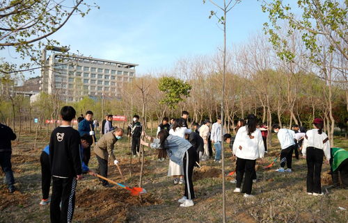 校领导参加义务植树活动