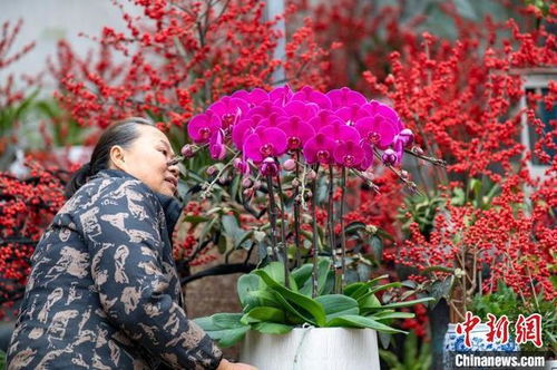 浙江金东 购鲜花迎新年